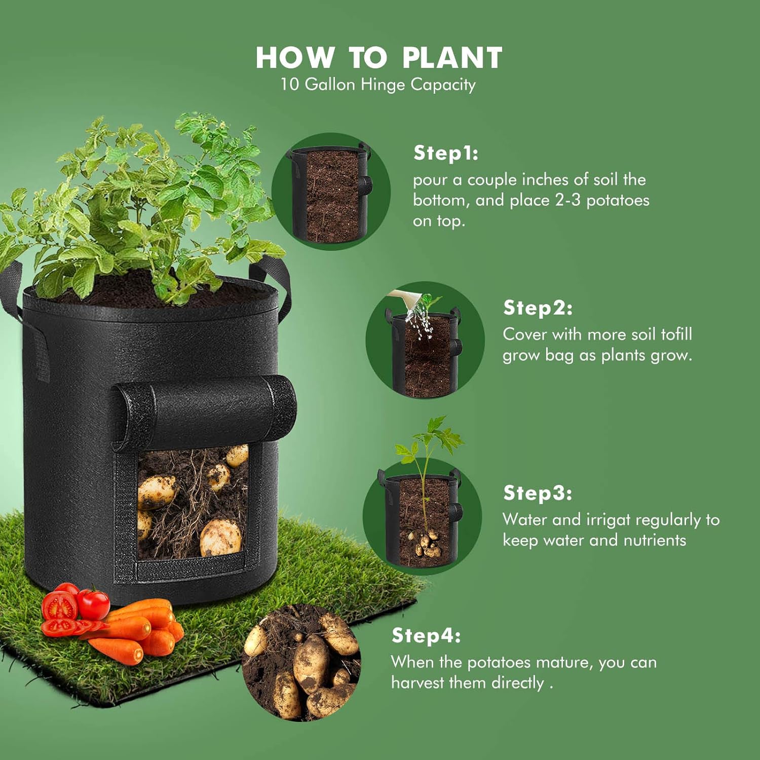 Cavisoo 5 pk how to plant81Jvrc1Tm9L._AC_SL1500_