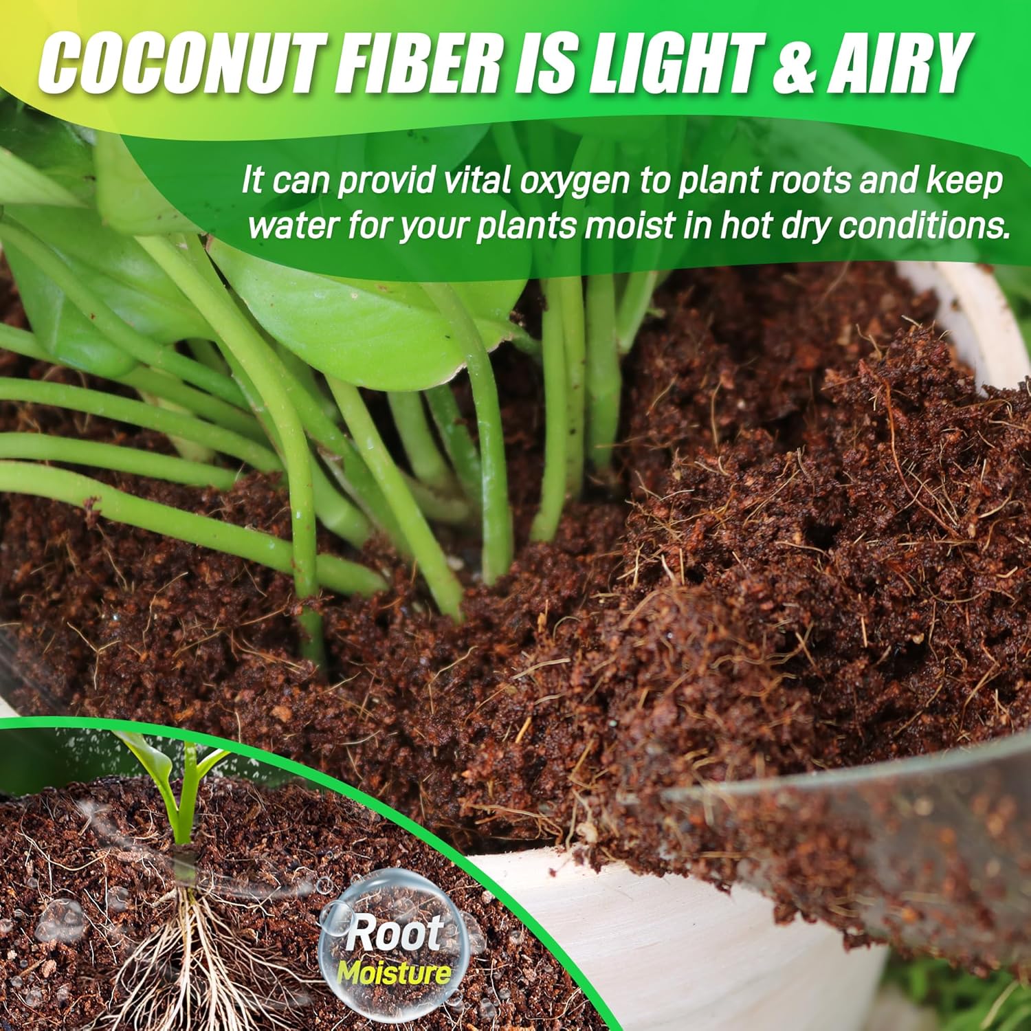 Cocofiber usees816nLS76e0L._AC_SL1500_
