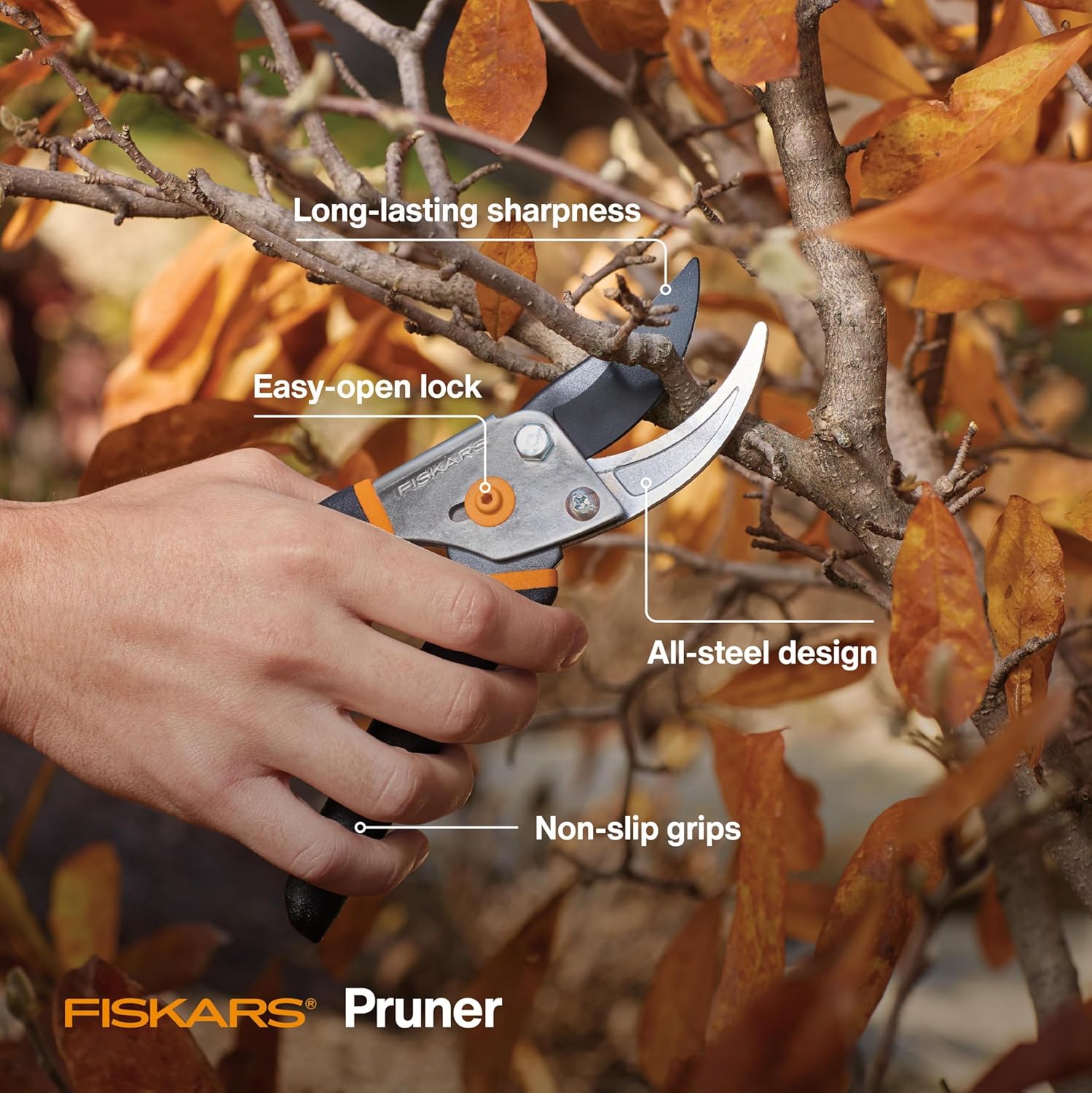 fiskers prunning
