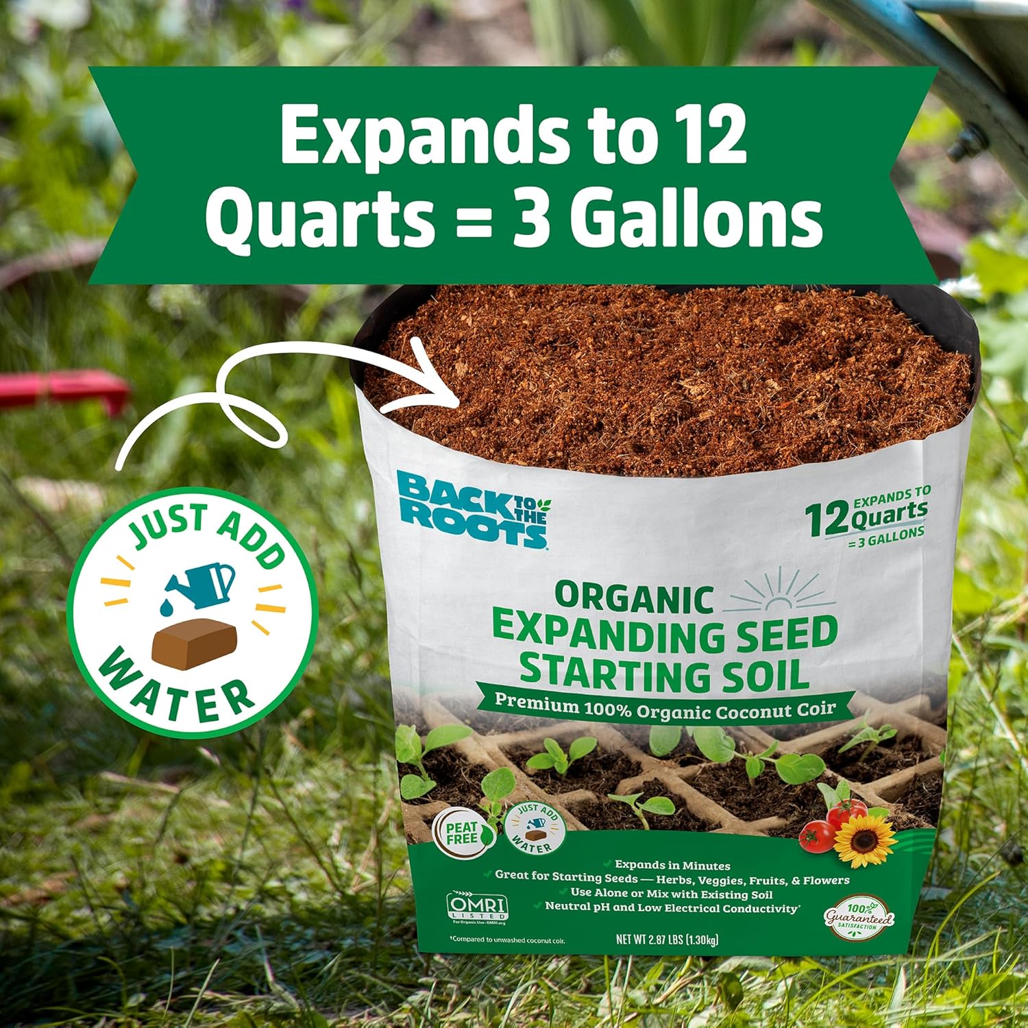 ORGANIC SEED START 91TGLi-yHZL._AC_SL1500_