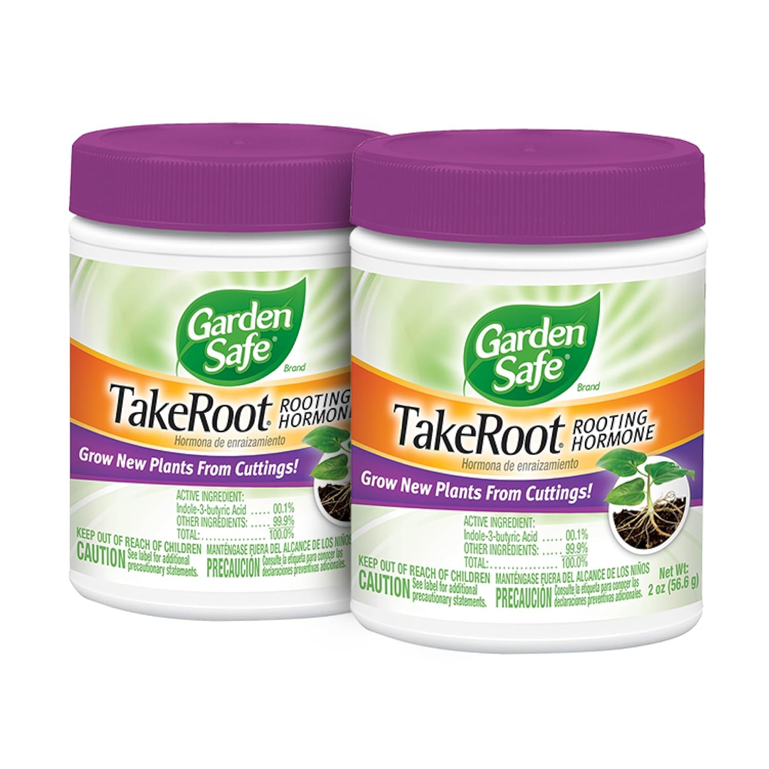 TAKE ROOT 818CEYYQEjL._SL1500_